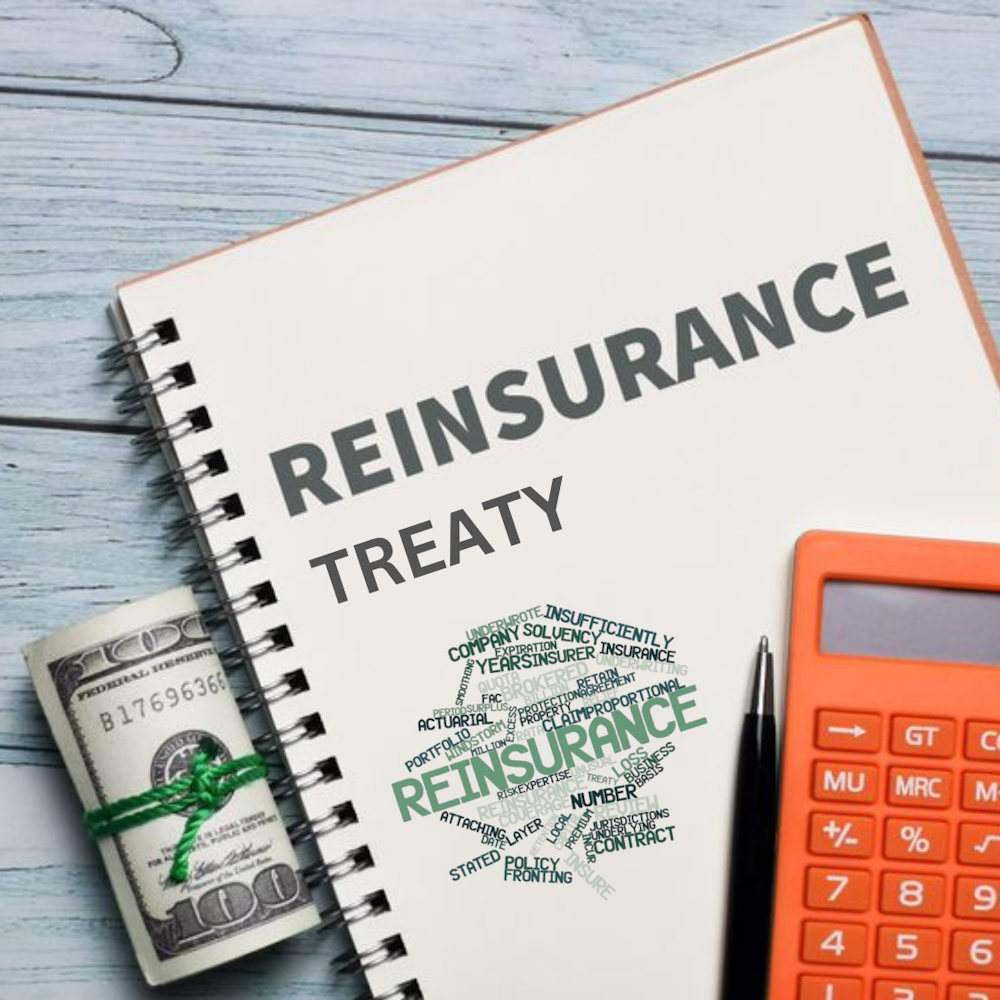 Reinsurance Treaty